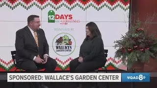WQAD's 12 Days of Christmas: Day 1 - Wallace's Garden Center
