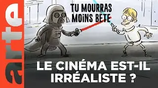🎬 Le cinéma | Compilation | Tu mourras moins bête | ARTE