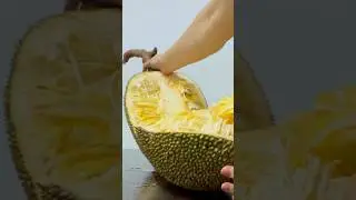 Cutting Big Jack Fruit #jackfruit #srilanka #travel #nature #asmr #fruit #delicious #tasty