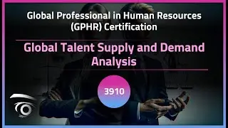 Global Talent Supply and Demand Analysis | Exclusive Lesson