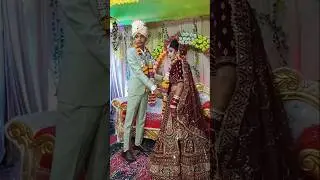 Wedding Jaimala Short | Jaimala Video #shorts #wedding #song #traditinal #jaimala @Miniphotostudio