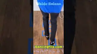 Dance of Salsa | Salsa Basic Step For Intermediates | Salsa Step by Step | Waldo Solano