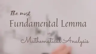 The Most Fundamental Lemma of Mathematical Analysis