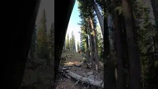 Elk Hunting on Black Mesa Mountain by Groundhog Reservoir behind Dolores Colorado