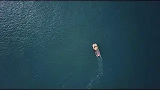 Our Blue Heart | Marine Conservation Society