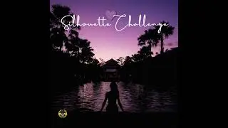 Doja Cat - Streets ( Silhouette Challenge Remix )
