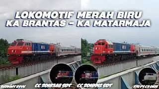MERONA!! LOKOMOTIF LIVERY MERAH BIRU SETELAH PERAWATAN 