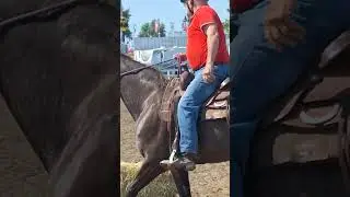 Sutton2025 Norm Giddy up