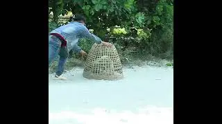 Funny Pranks Video 2023
