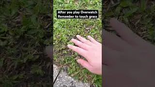 Kiriko player touch grass