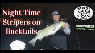 Striped Bass Fishing with Bucktails and Fat Cow Jig Strips - Rockaway , NY