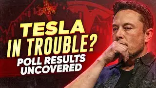 Why Tesla's Reputation Is Crumbling: Shocking Poll Results