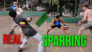 Street-Style Sparring Session | Real Training, Real Hits