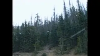 ✦ free raw sad acoustic guitar type beat 