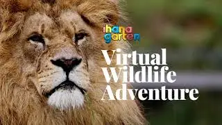 Virtual Wildlife Adventure | Science Week Class 5 | Ihanagarten Kindergarten