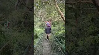 Family Friendly Activity: Ngare Ndare Forest Bridge & Waterfall Pool 💦 in Kenya #treecanopywalk