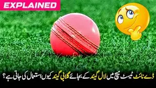 Why only pink ball is used for day night test | Pink Ball vs Red Ball Explained