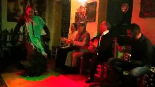 Tablao Flamenco Ana Maria Los Chatos Marbella 5 17 11 15