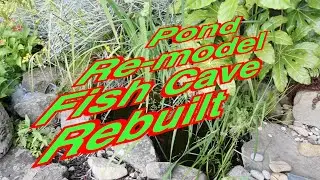 Build a fish Cave, Rebuild your pond.
