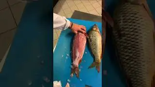 Amazing Fish Cutting Skills Fish🐟 Skinless EasyWay #shorts #subscribe 🙏🔥🔥