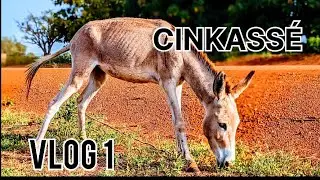 VLOG 1 , ville de Cinkass&eacute;, Dapaong . ville de multilingue. fronti&egrave;re Togo-Burkina