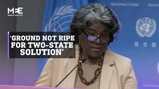 US envoy to the UN responds to Ukraine/Palestine 'double standard'