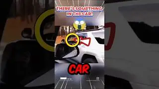 The Person Driving This Car Is Not Human! 😮 #shorts #animals #dog