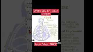 Gate 1 Human Design