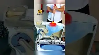 You Won t Believe This Toilet Cleaning Hack! 🤯