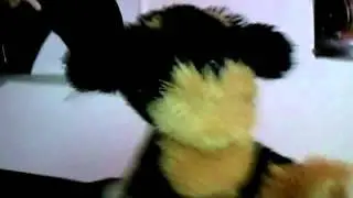 jade the bear sings firework with his friends
