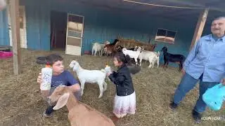 Kids Experience 