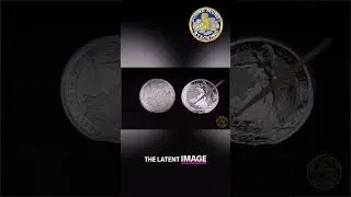 How To Identify That A Britannia Coin Is Genuine Or Fake #silver #gold #preciousmetals #bullion