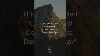 EMERGENCE OF CONSCIOUSNESS | New book by Zulma Reyo coming January 2025