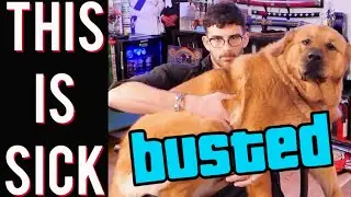Hasan Piker in DEEP sh*t for animal abuse! Leftist darling might be DONE after this!