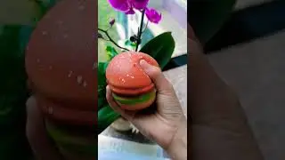 Hamburger squishy toy #viral #shorts #satisfying #squishy #ytshorts #youtubeshorts
