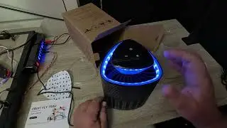 Fruit Fly Traps for Indoors