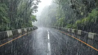 Sleep Fast and Relax Deeply | Rain Sounds for Sleeping with Heavy Rain & Thunder All Night Long