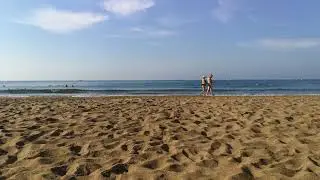 Отзыв об отеле blue paradise