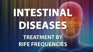 Intestinal Diseases - RIFE Frequencies Treatment - Energy & Quantum Medicine with Bioresonance