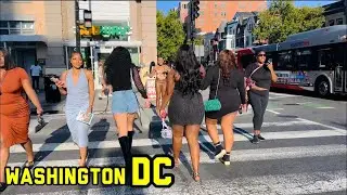 Sunday Stroll in Washington DC 🇺🇸 | 14th & U Street in 4K (2025 City Walk)