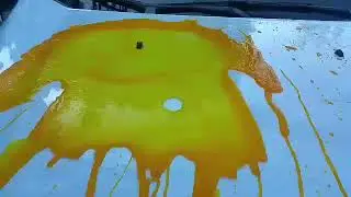 TSIKOT - Tonyin Ceramic Crystal Coating Wax ( 21 days Durability Challenge )