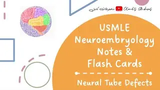 Neural Tube Defects | USMLE Neuroembryology Rapid Review | High Yield Concepts & Quiz