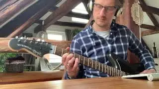 Only Living Witness   Prone Mortal Form Guitar Cover