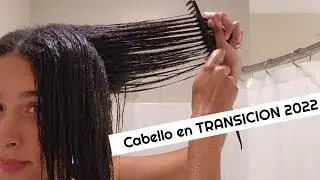 RUTINA DE LAVADO CABELLO EN TRANSICION CAPILAR 2022