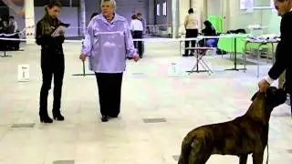 DSCN1706