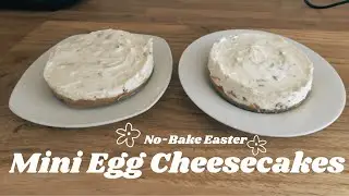 No-Bake Easter Mini Egg Cheesecakes