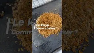 Le kiryu. Comment l'utiliser ?