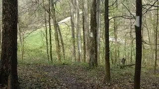 Yellowwood Q&A - Tecumseh Trail