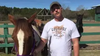 Meet the Trail Guide: Michael Wilson Got His Horse Experience in the Military