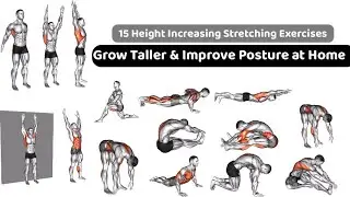 15 Height Increasing Stretching Exercises | Grow Taller & Improve Posture at Home